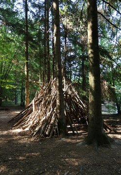 Hutte en for&ecirc;t