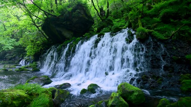 元滝伏流水
