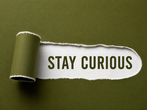 Torn paper reveal with the message stay curious on a dark olive green background
