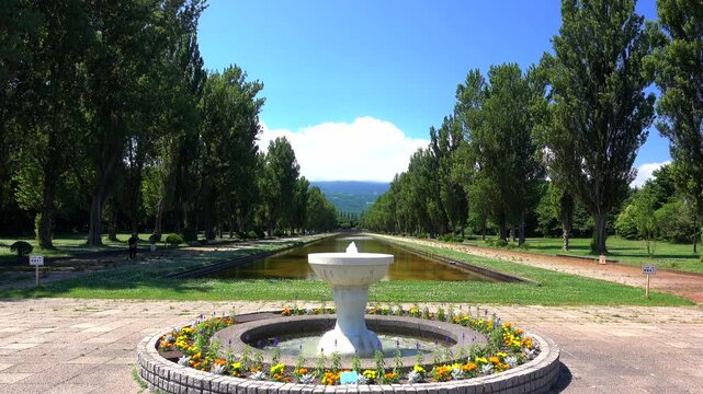 前田森林公園ポプラ並木　北海道