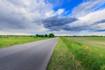 Fototapeta premium Empty rural road under stormy sky with lush grasses