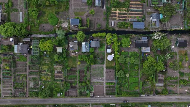 Aerial View of Vegetable Garden Plant Propagation