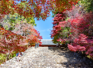 Naklejka premium Jingo-Ji temple gardens on Takao mountain in autumn, Kyoto, Japan
