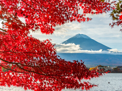 Mount Fuji and Lake Kawaguchiko in autumn, Fujikawaguchiko, Japan