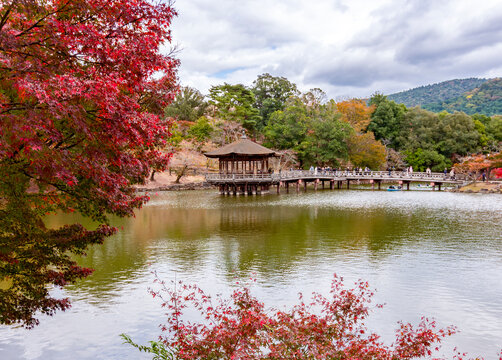 Sagi pond in autumn with Ukimido pavilion, Nara park, Japan