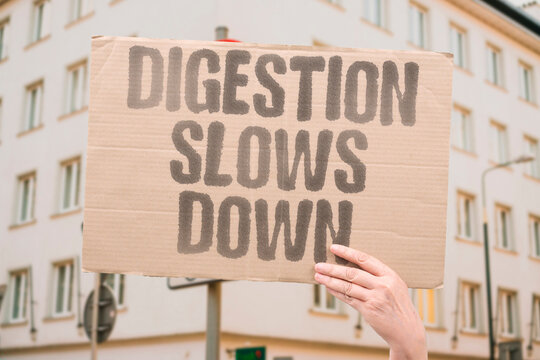 "Digestion Slows Down" Explain gastrointestinal motility changes during treatment. MOTILITY. CONSTIPATION. OBSTRUCTION. MEDICATION. DIET.