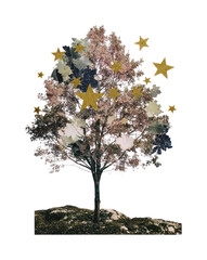 Fototapeta na wymiar Tree with stars on a transparent background, available as a PNG file.