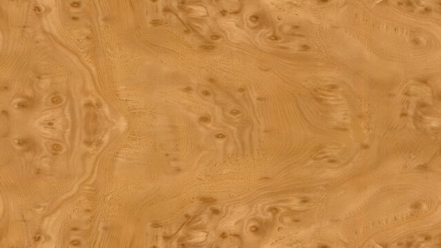 Light brown burl wood surface with swirly organic grain pattern
