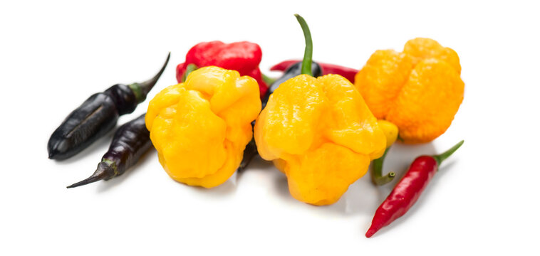 Various Hot peppers; Yellow Trinidad Moruga Scorpion, Pimenta de Neyde, Cayenne hot Pepper Chili isolated on white background, closeup. Group, heap, different colorful