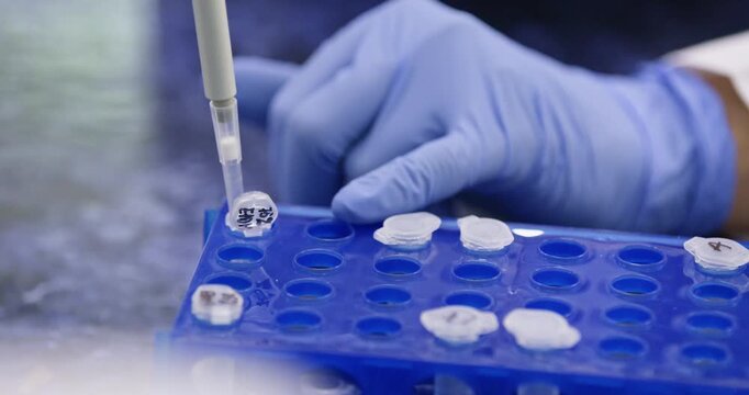 A close-up of a scientist adding a substance to a plastic test tube in a blue stand using an autosampler.