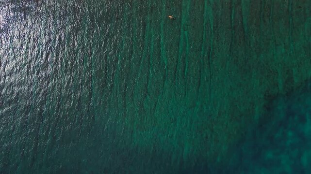 Surfer activity on ocean waiting for waves. Fantastic aerial view high up drone