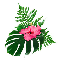 Pink hibiscus flower and green tropical leaves on white background © New Africa