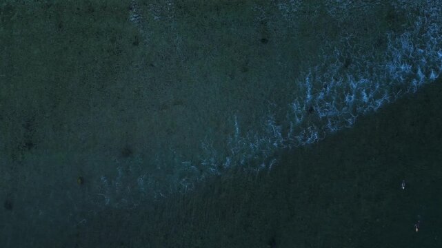 Surfer activity on ocean waiting for waves. Smooth aerial view high up drone