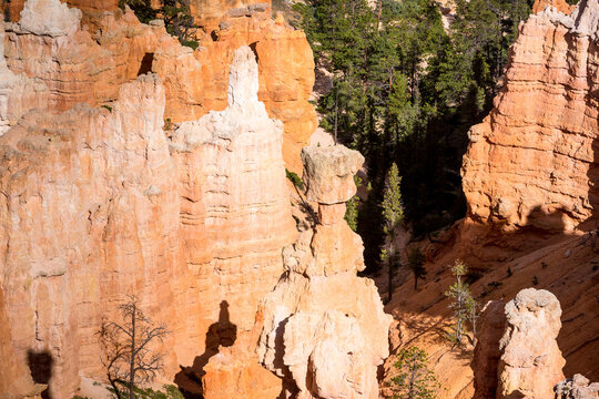 Thor's Hammer hoodoo seen from Sunset Point in Bryce Canyon National Park, Utah