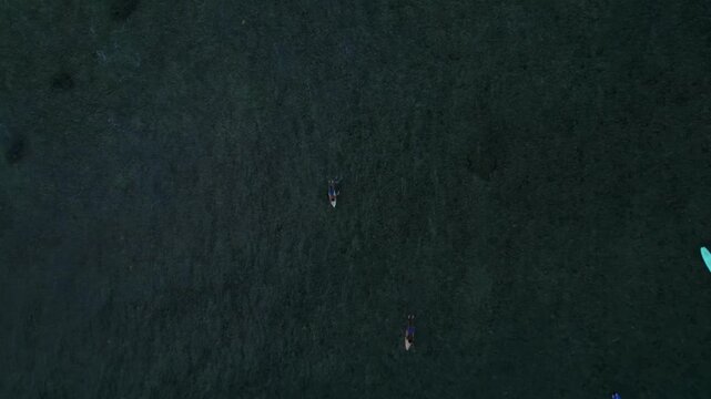 Surfer activity on ocean waiting for waves. Unique aerial view high up drone