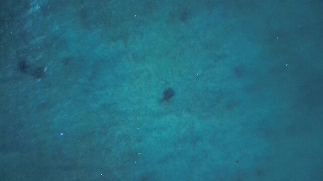 Sea turtle swimming plastic contaminated ontaminated ocean pollution. Fantastic aerial view drone