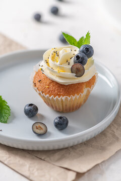 Delicious blueberry and chia seed cupcake on a light grey plate