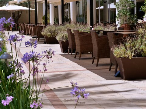 Outdoor Hotel Terrace with Wicker Furniture and Blooming Flowers