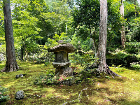 Traditional Japanese Moss Garden with Stone Lantern and Jizo Statues