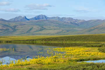 Obraz premium Lake in tundra