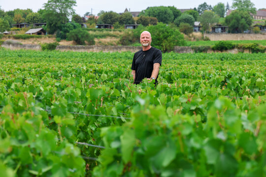 Middle‑aged man enjoying a summer vacation in Burgundy, France, surrounded by expansive vineyards and the tranquil rhythm of rural French life.