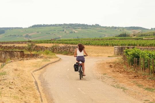 Woman cycling beside lush vineyard rows under a bright summer sky in Burgundy, France, surrounded by green grapevines, scenic hills, and rural countryside beauty.