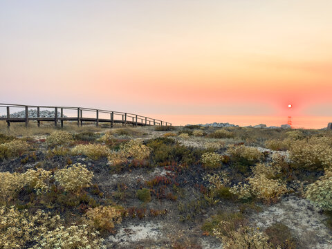 Golden sunset over coastal dunes in Furadouro