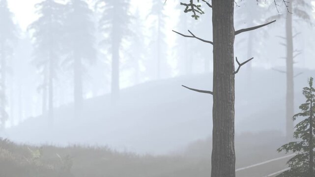 A thick fog envelops a forest scene with tall trees and soft ground. The light of early morning creates a misty atmosphere, shrouding everything in gray tones.