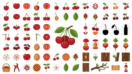 Comprehensive cherry and berry icon library. © Thomas