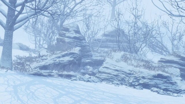 The scene shows a snowy area with large rocks and leafless trees. The ground is white with fresh snow. Fog covers the background making it hard to see further.