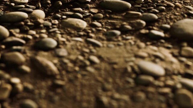Several stones and pebbles are scattered on a sandy ground. The sunlight creates shadows and highlights on each stone. The surface shows a natural earth texture.