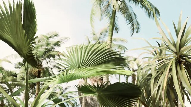 Plants with large leaves grow in a tropical garden. The sunlight shines down, creating a vibrant scene. The setting shows various types of greenery surrounded by palm trees.