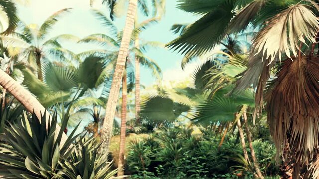 Various types of green plants and large trees grow in a tropical area. The sun shines down, and the sky is clear. The scene shows a rich display of nature and foliage.