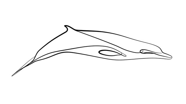 Minimalist dolphin line art illustration white background.