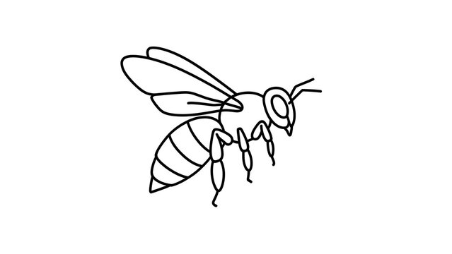 Minimalist bee illustration on white background.