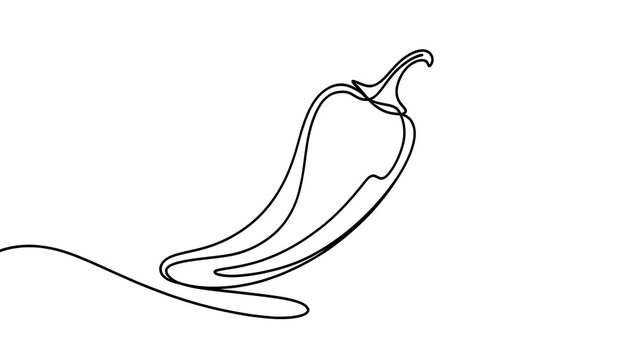 Minimalist chili pepper line art white background.