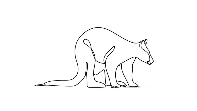 Minimalist kangaroo line art white background.