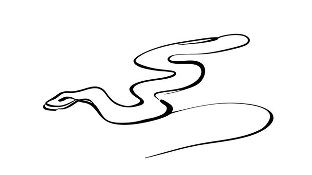 Minimalist snake line art illustration white background.