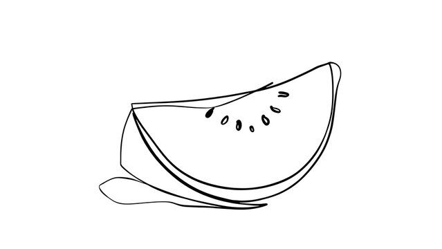 Hand drawn watermelon slice illustration white background.