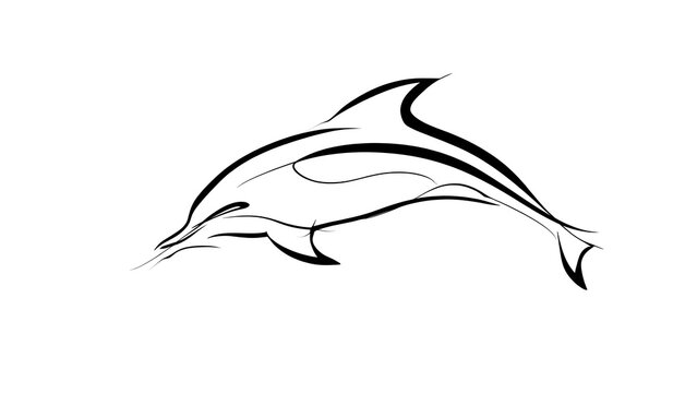 Elegant dolphin line art illustration white background.