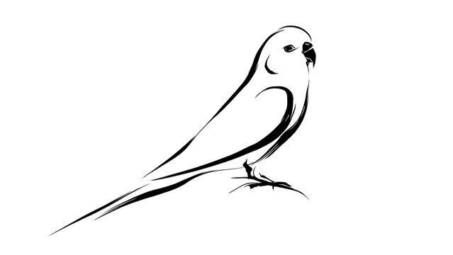 Minimalist bird drawing on white background.