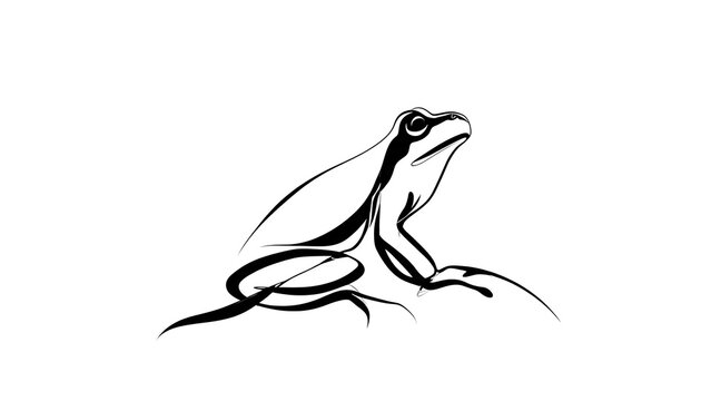 Minimalist frog line art illustration white background.