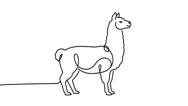 Simple line art drawing of a llama white background.