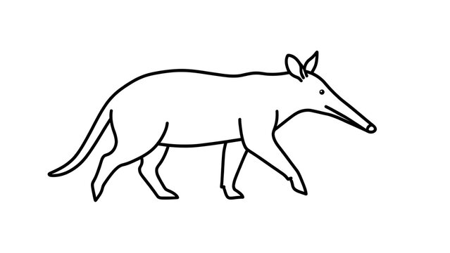 Simple line drawing of aardvark on white background.