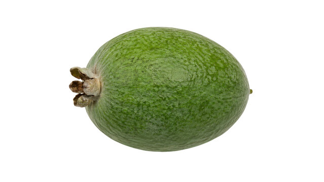 Feijoa Fruit Isolated on Transparent Background