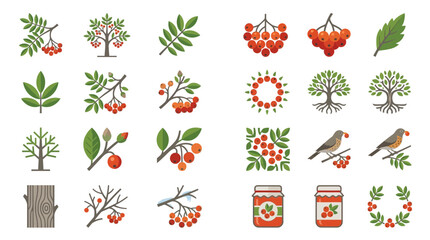 Rowen tree and berry icons with jam jars. © Venuz