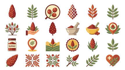 Sumac spice botanical icons and culinary harvest berry set. © Venuz