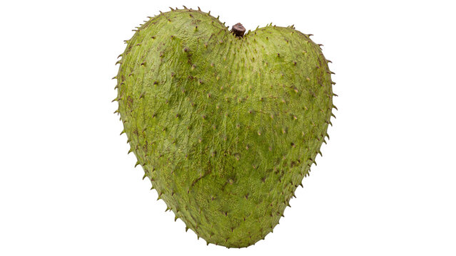 Soursop Fruit Guanabana Isolated on Transparent Background
