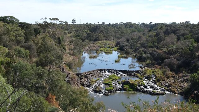 Buckley Falls and historic bluestone weir along the Barwon River, framed by dense native bushland and eucalyptus trees&nbsp;in Highton, Geelong, Victoria, Australia.