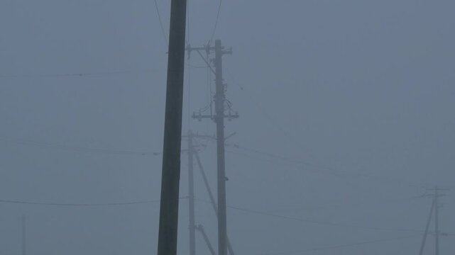 Silhouette of a utility pole in dense fog